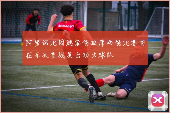 阿努诺比因腿筋伤缺席两场比赛将在东决首战复出助力球队